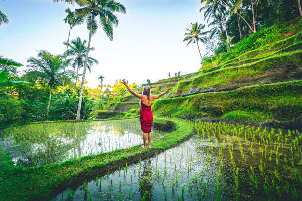 Blog Secrets Review - digital nomad worden - affiliate marketing - blog schrijven - online geld verdienen - backpacking Indonesie